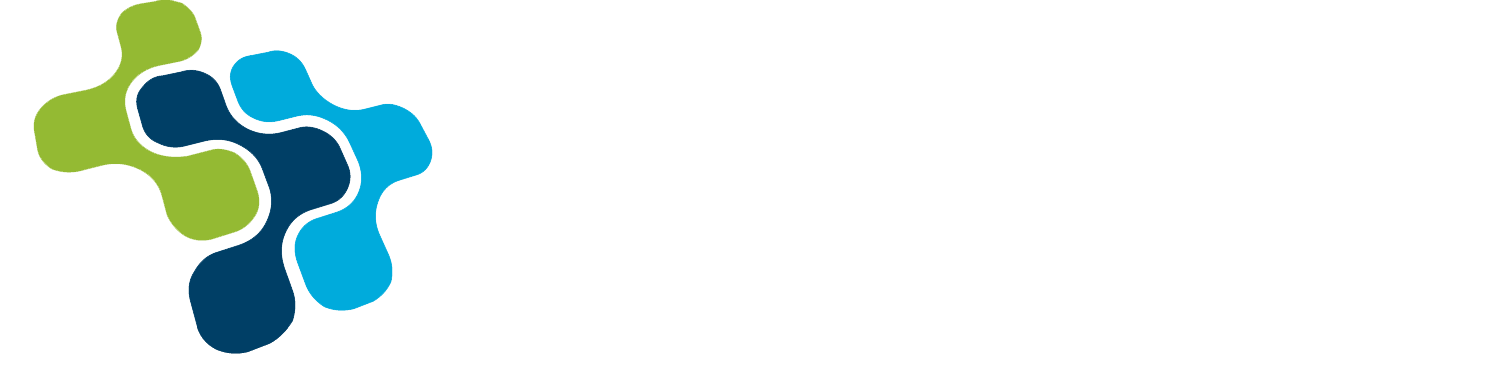 Dizer Capital
